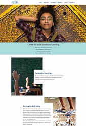 Need a wordpress developer?