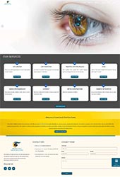 Need a wordpress developer in Delhi?