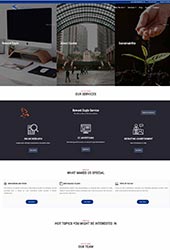 Looking for a wordpress developer?