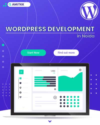WordPress Development Agency in Noida