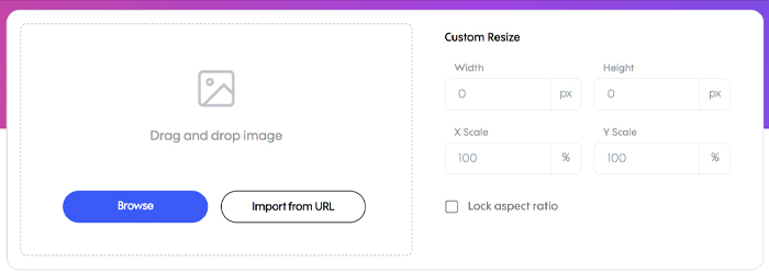 Right Image Dimensions