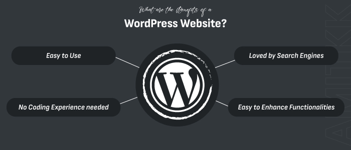 wordpress development company in delhi